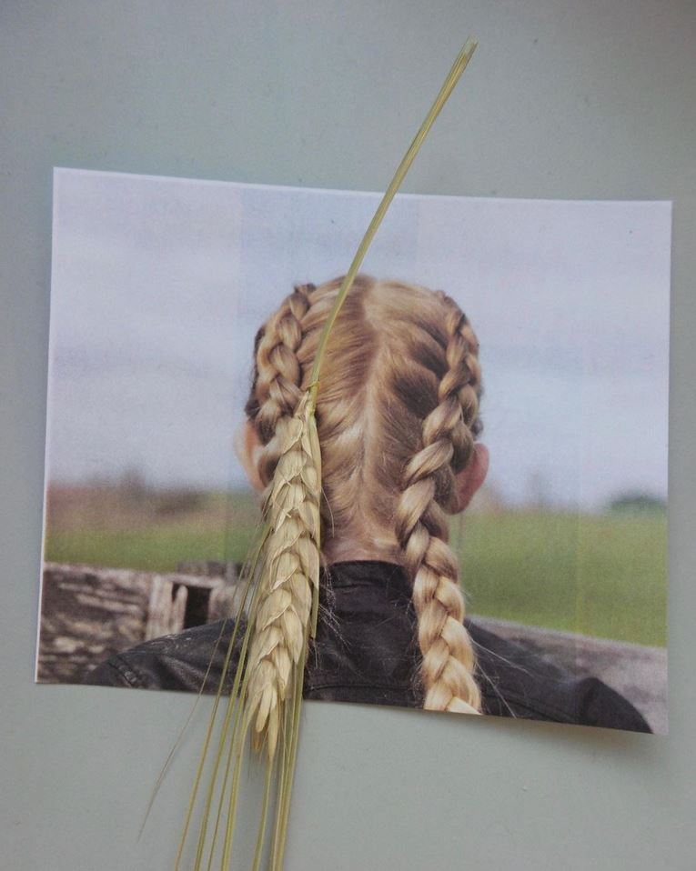 Wheat stalk braid. 2021.