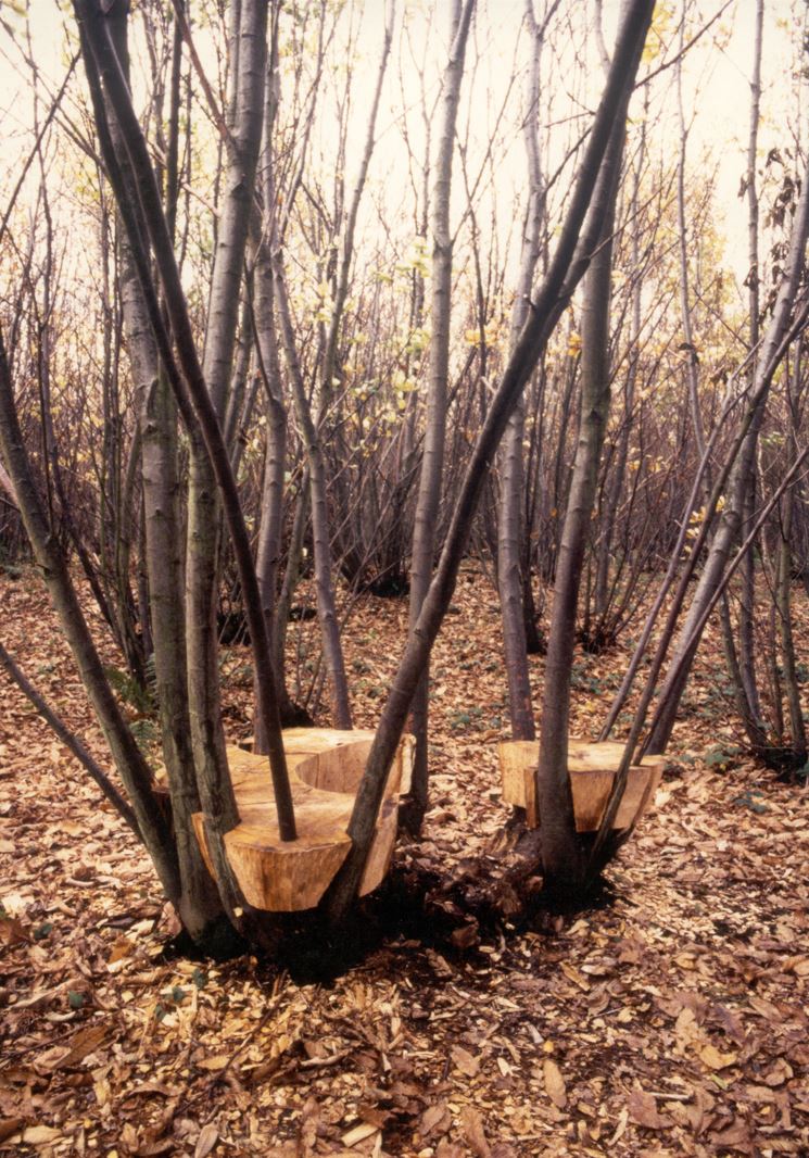 Coppice Seat, Stour Valley Arts, Kings Wood, Kent.