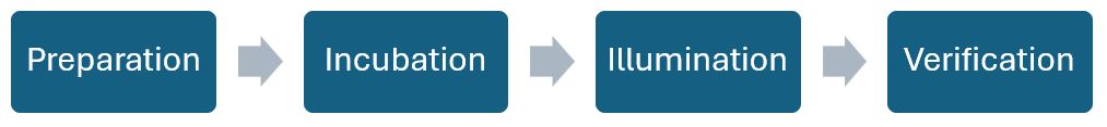 A flow diagram listing  the four stages of Poincaré analyses of creativity: 1.	Preparation, 2.	Incubation, 3.	Illumination, 4.	Verification. 